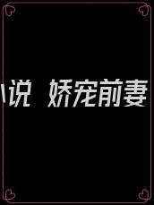 小说 娇宠前妻